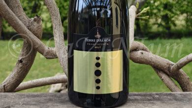 Franciacorta Brut Terre d'Aenòr