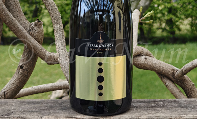 Franciacorta Brut Terre d'Aenòr