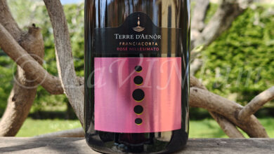 Franciacorta Rosé Extra Brut Millesimato 2020