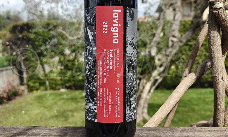 Rosso Lavigna 2022 Santuvario