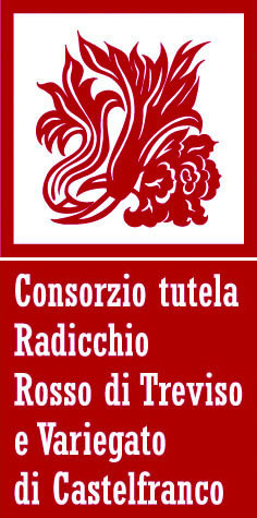 Radicchio variegato di Castelfranco IGP