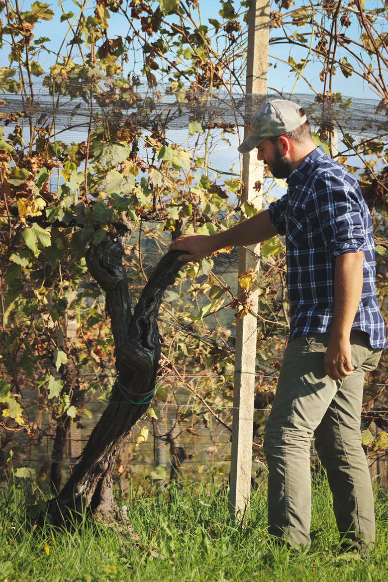 Marco Pinat in vigna