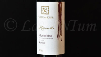 Montefalco Rosso Pippinello 2020 Valdangius