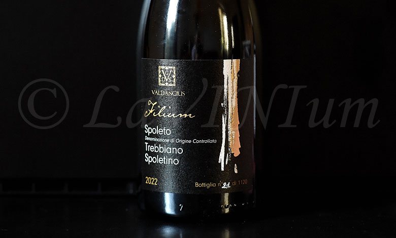 Spoleto Trebbiano Spoletino Filium 2022 Valdangius