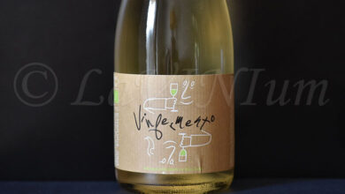 Vinfermento Ca' della Vigna