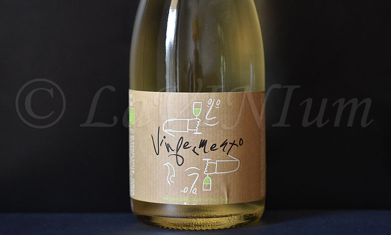 Vinfermento Ca' della Vigna