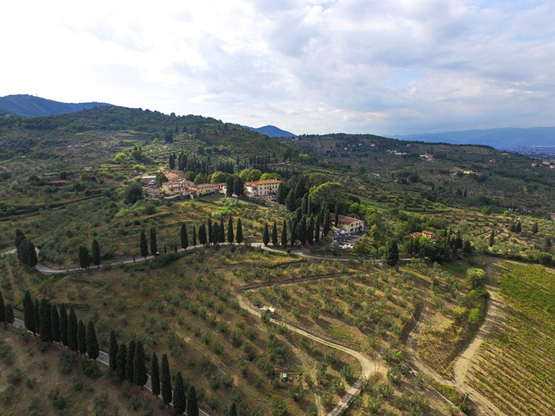 Panorama su Capezzana