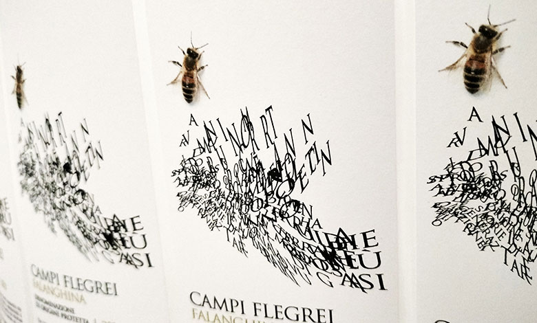 Falanghina dei Campi Flegrei 2014 Contrada Salandra