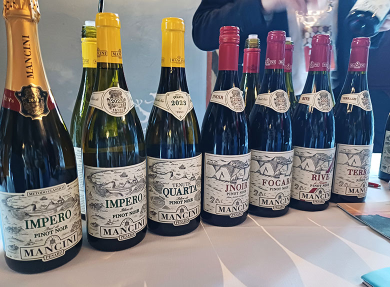 Mancini Focara Pinot Noir