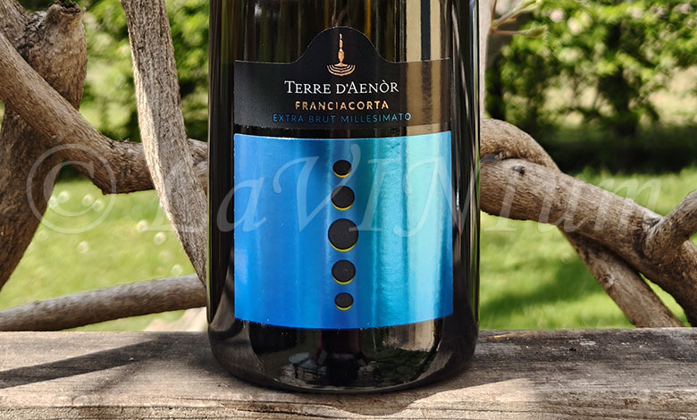 Franciacorta Extra Brut Millesimato 2020 Terre d'Aenòr