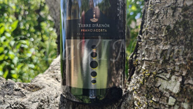 Franciacorta Pas Dosé Millesimato 2020 Terre d'Aenòr