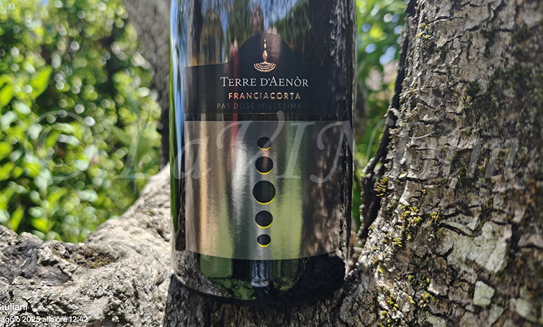 Franciacorta Pas Dosé Millesimato 2020 Terre d'Aenòr