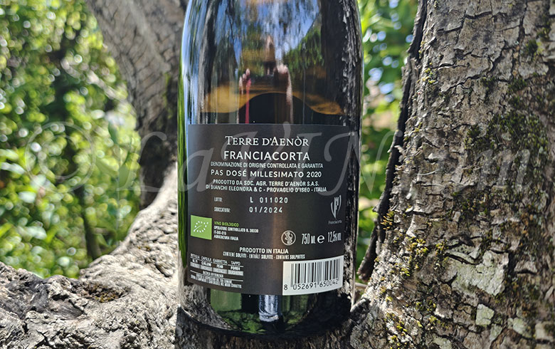 Franciacorta Pas Dosé Millesimato 2020 Terre d'Aenòr