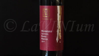 Montefalco Rosso Riserva 2019 Valdangius