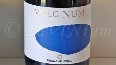 Roma Bellone Vulc Num 2024 Tenimenti Leone