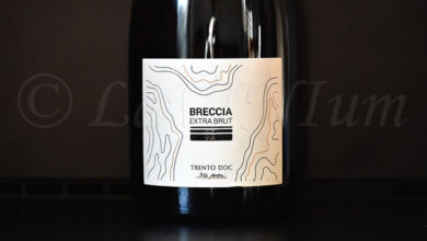 Trento Doc Breccia Extra Brut 2019 Breccia