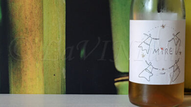 Mirë Orange 2023 Carlomagno