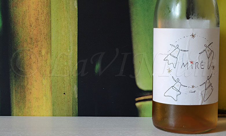 Mirë Orange 2023 Carlomagno