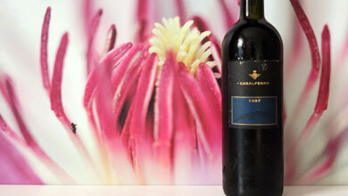 Casalferro 1997 Barone Ricasoli