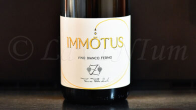 Bianco Immotus 2022 Tommaso Tobia Zucchi