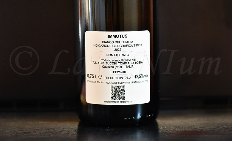 Bianco Immotus 2022 Tommaso Tobia Zucchi