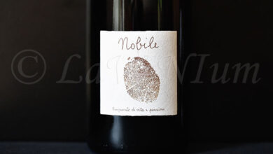 Le Casete 2023 Bottega Artigiana Canello