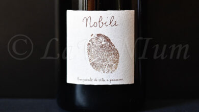 Le Castela 2023 Bottega Artigiana Canello