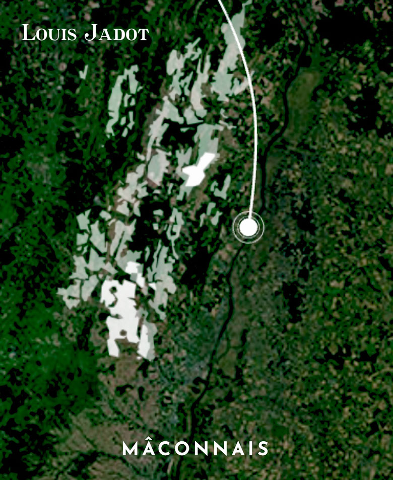 Louis Jadot cartina