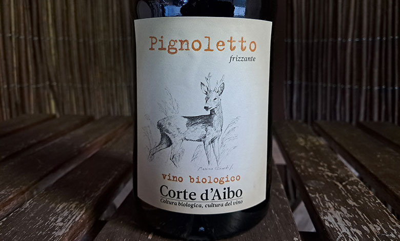 Colli Bolognesi Pignoletto Frizzante Corte D'Aibo