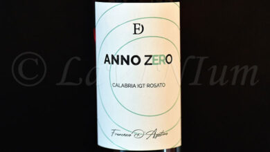 Rosato Anno Zero 2023 Francesco D'Agostino