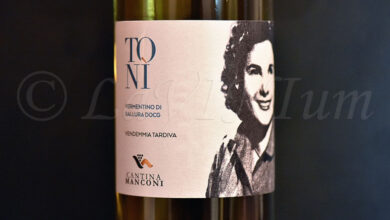 Vermentino di Gallura Tonì 2023 Cantina Manconi