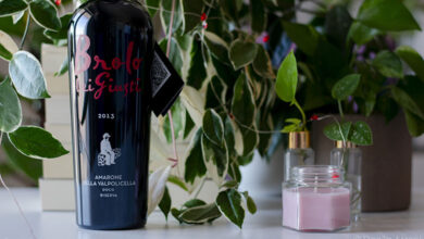 Amarone della Valpolicella Brolo dei Giusti Riserva 2013 Cantine di Verona