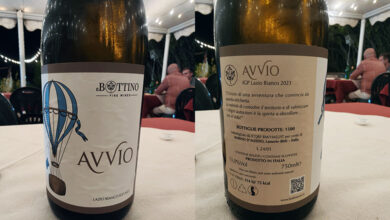 Bianco Avvio 2023 Il Bottino