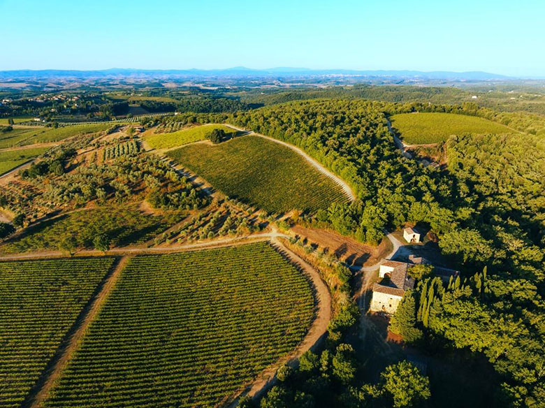 Fattoria di Felsina