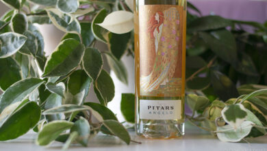 Bianco Angelo 2022 Pitars