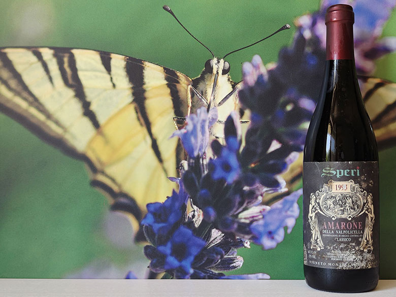 Amarone della Valpolicella Classico Vigneto Monte Sant’Urbano 1993 Speri