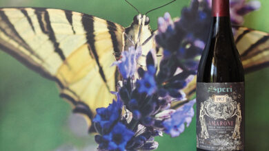 Amarone della Valpolicella Classico Vigneto Monte Sant’Urbano 1993 Speri