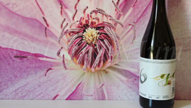 Bianco 6 Gemme 2024 Cantina del Tufaio