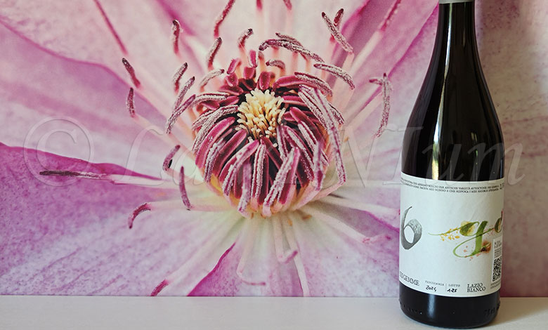 Bianco 6 Gemme 2024 Cantina del Tufaio