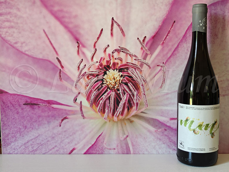 Bianco 6 Gemme 2024 Cantina del Tufaio