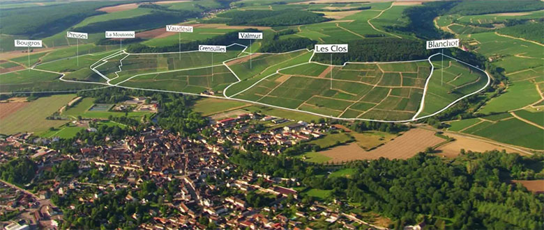 Bourgogne wine board