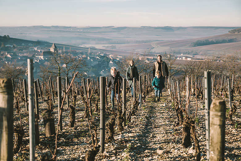 Domaine Charly Nicolle