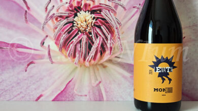 Falanghina 2024 Monserrato 1973