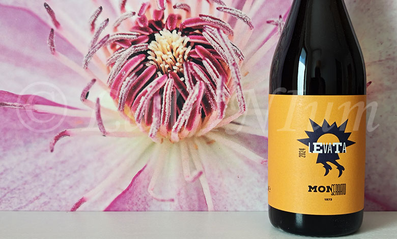 Falanghina 2024 Monserrato 1973