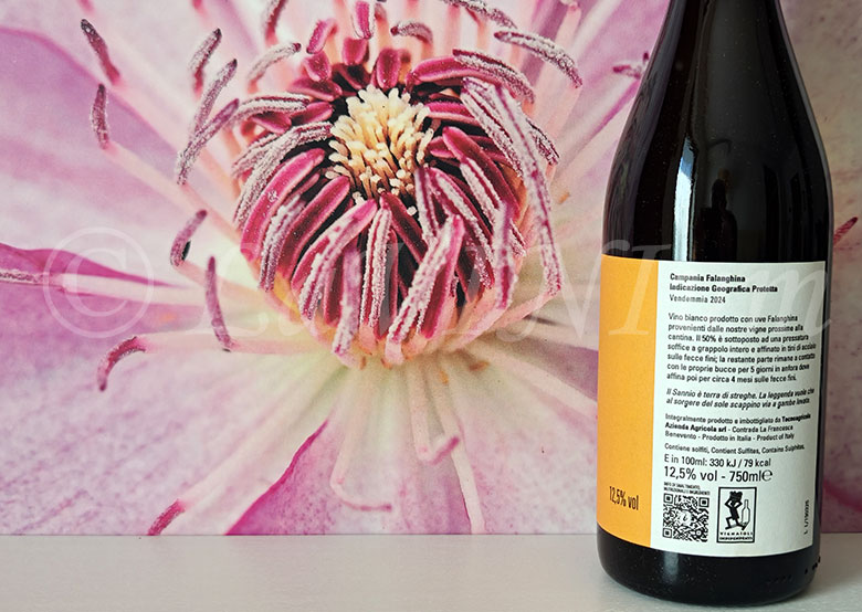 Falanghina 2024 Monserrato 1973