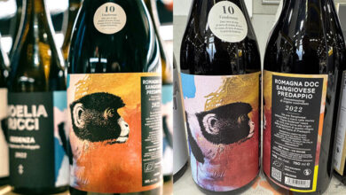 Romagna Sangiovese Predappio Godenza 2022 Noelia Ricci