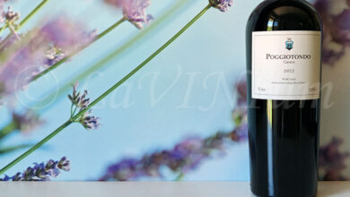 Poggiotondo 2022 Poggiotondo