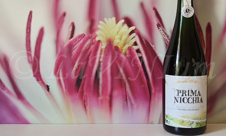 Prima Nicchia Metodo Ancestrale 2021 Cantina del Tufaio