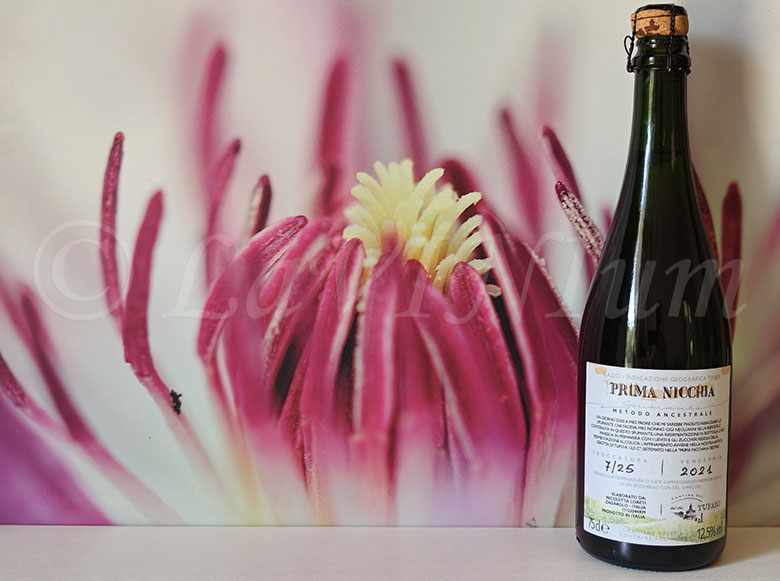 Prima Nicchia Metodo Ancestrale 2021 Cantina del Tufaio