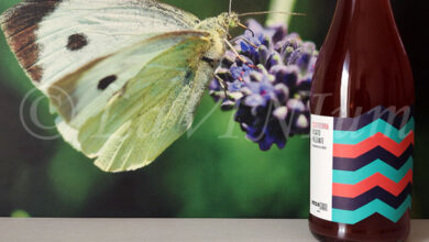 Rosato Frizzante 2024 Monserrato 1973